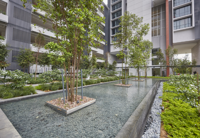 medini greeneries