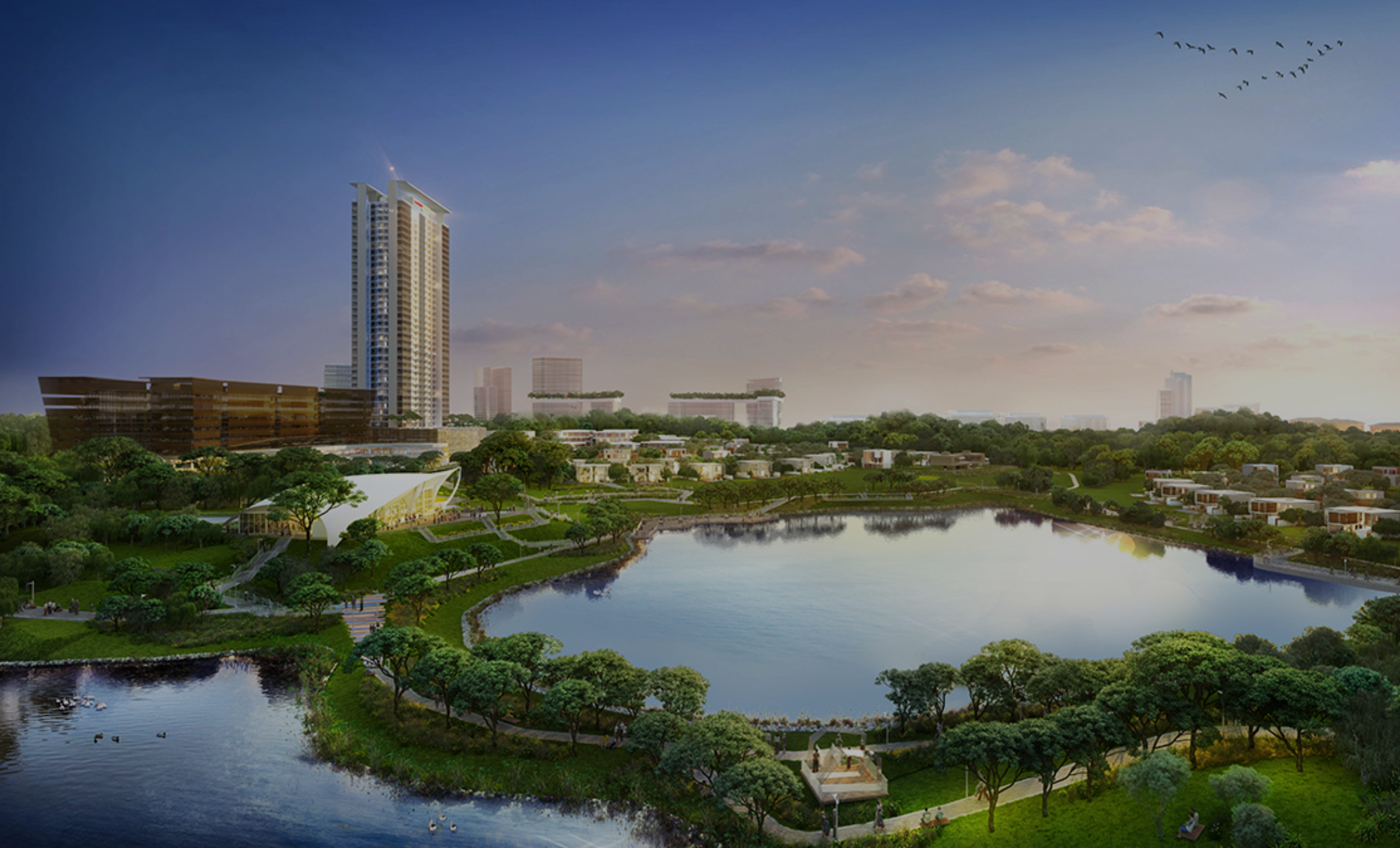 medini homepage banner 2